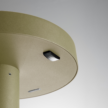 ARTEMIDE NEEDO