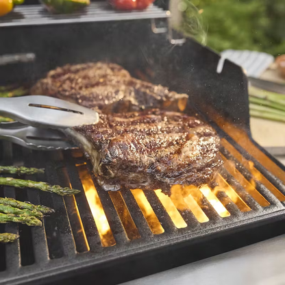 WEBER BARBECUE A GAS SPIRIT EP-335