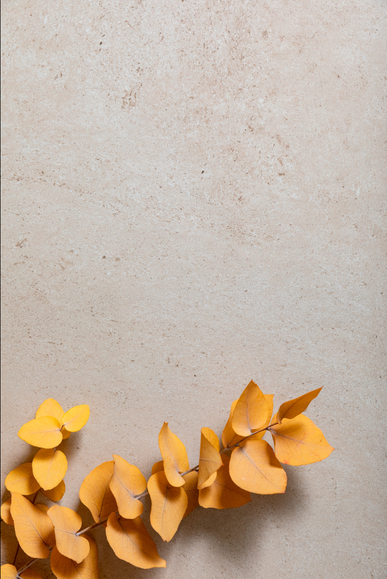 MARAZZI COLLEZIONE STONEWORK