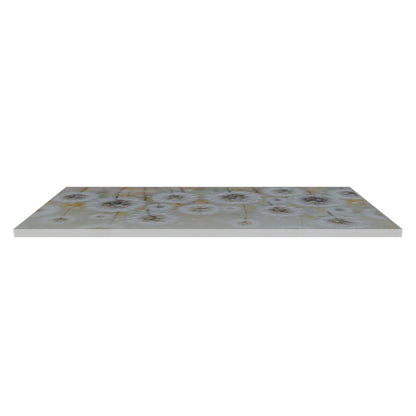 AGAVE QUADRI SOFFIO D'ESTATE (VISTA 3D)