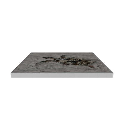 AGAVE QUADRI TORTOISE (VISTA 3D)