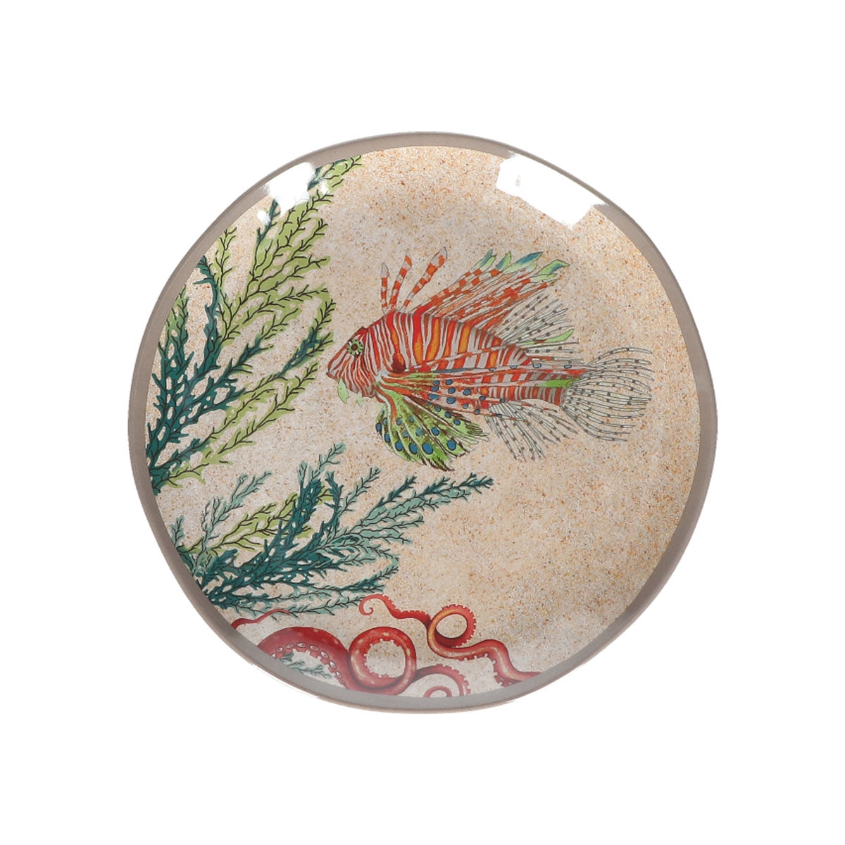 ROSE&amp;TULIPS 18 PCS SEA LIFE PLATE SET 